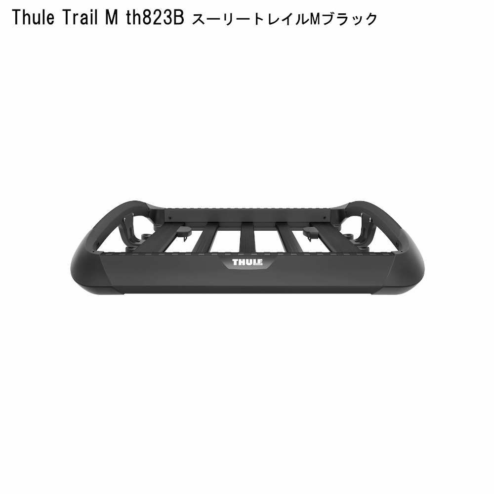 THULE - yyuussuukkee様専用 ダイレクトルーフ用スーリー