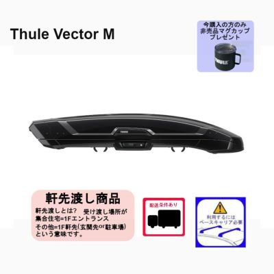 THULE VectorM /ベクターMチタンマット th6132 ：ジェットバッグ