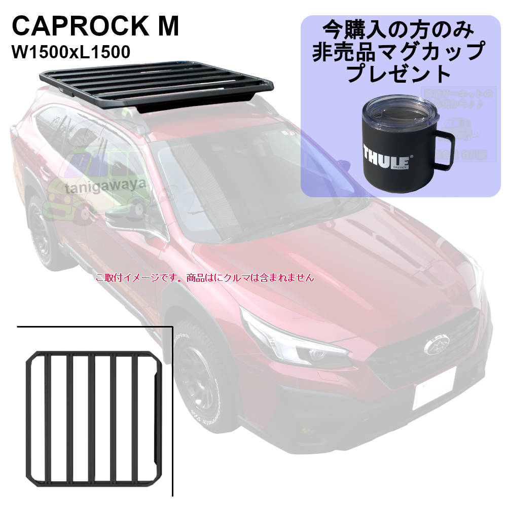 6/2店在庫あり[個人宅配送OK/送料無料地域あり] Thule CapRock M (1500 